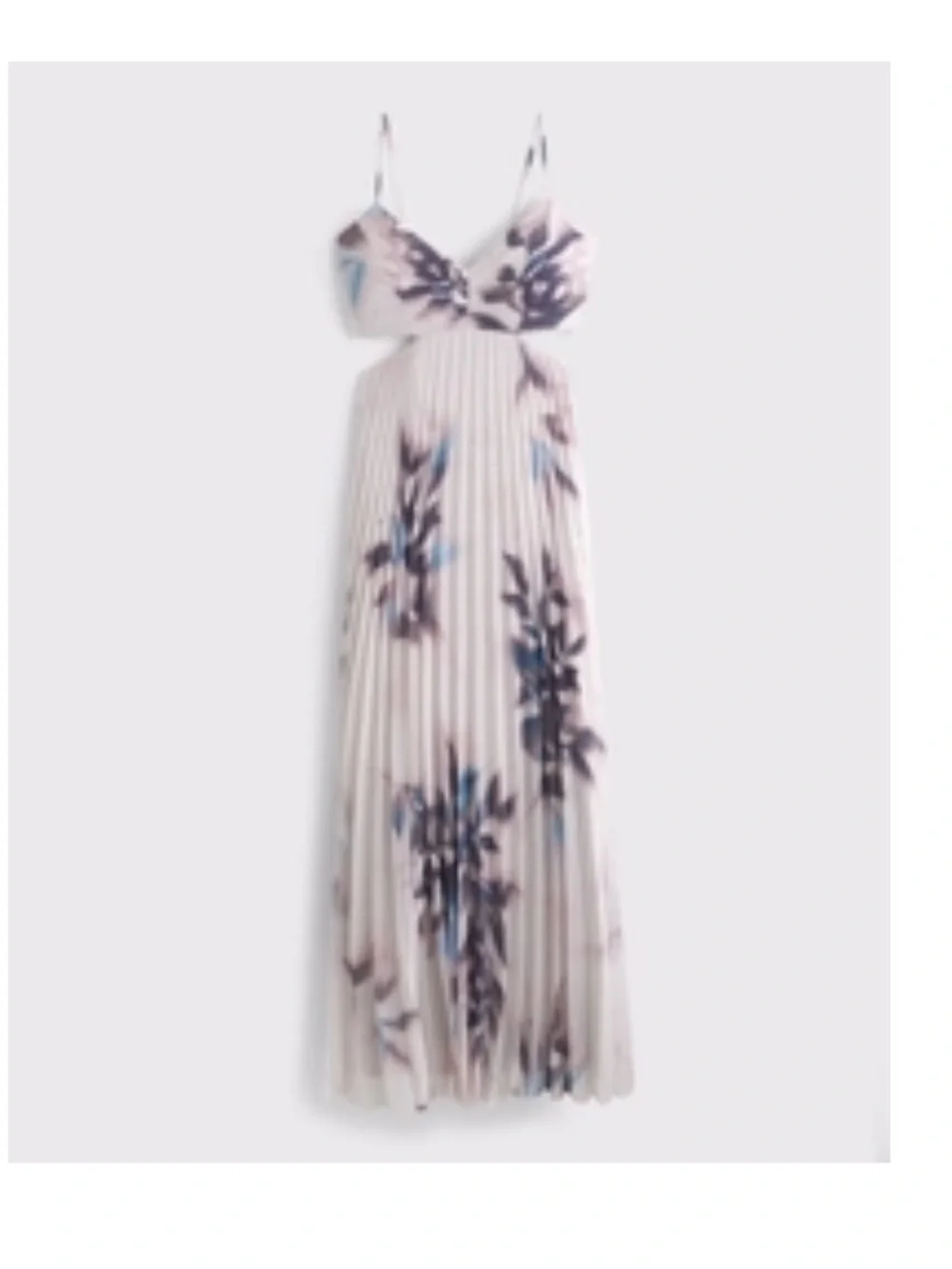 Floral Pleated Maxi Dress in Cream and Blue